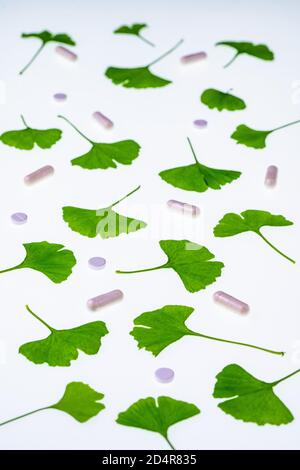 Blätter von der Maidenhair (Ginkgo biloba) Baum und Ginkgo ergänzt. Stockfoto