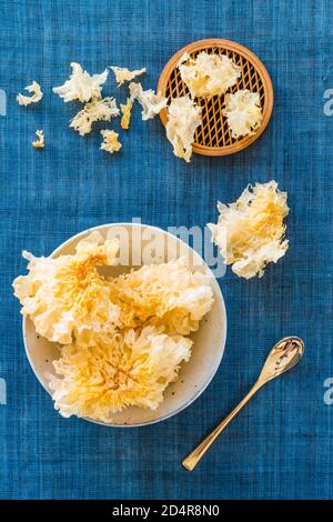 Essbarer Pilz Tremella fuciformis (Familie tremella). Stockfoto