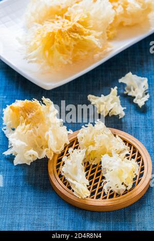 Essbarer Pilz Tremella fuciformis (Familie tremella). Stockfoto