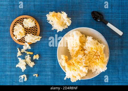 Essbarer Pilz Tremella fuciformis (Familie tremella). Stockfoto