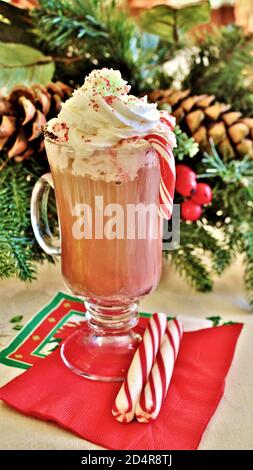 Glas heiße Schokolade und Pfefferminzsticks Stockfoto