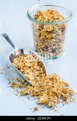 Getrocknete Blüten der Arnikapflanze (Arnica montana), Stockfoto