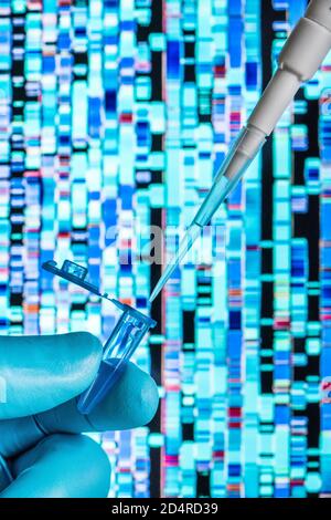 Genetische Forschung, Pipettieren in ein Reagenzglas vor einem DNA-Autoradiogramm (Deoxyribonukleinsäure). Stockfoto