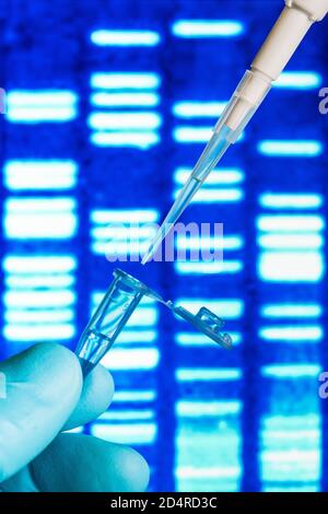 Genetische Forschung, Pipettieren in ein Reagenzglas vor einem DNA-Autoradiogramm (Deoxyribonukleinsäure). Stockfoto