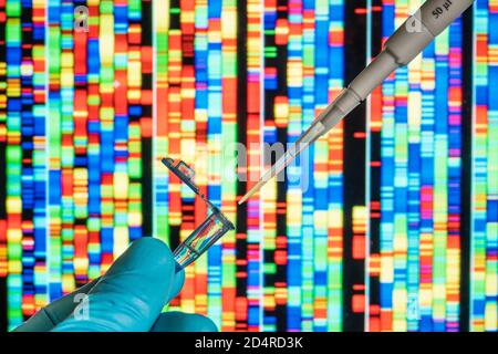 Genetische Forschung, Pipettieren in ein Reagenzglas vor einem DNA-Autoradiogramm (Deoxyribonukleinsäure). Stockfoto