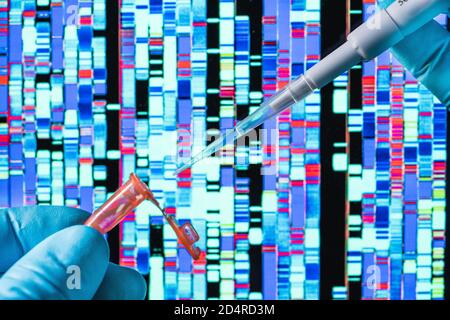 Genetische Forschung, Pipettieren in ein Reagenzglas vor einem DNA-Autoradiogramm (Deoxyribonukleinsäure). Stockfoto
