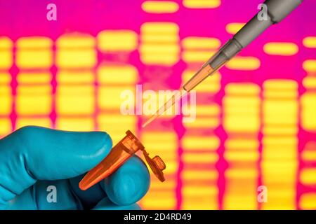 Genetische Forschung, Pipettieren in ein Reagenzglas vor einem DNA-Autoradiogramm (Deoxyribonukleinsäure). Stockfoto