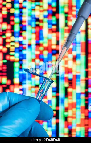 Genetische Forschung, Pipettieren in ein Reagenzglas vor einem DNA-Autoradiogramm (Deoxyribonukleinsäure). Stockfoto
