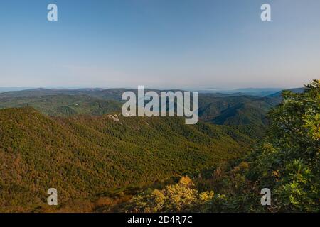 Nach Sonnenaufgang auf dem Appalachian Trail Wandern entlang des Grats Stockfoto