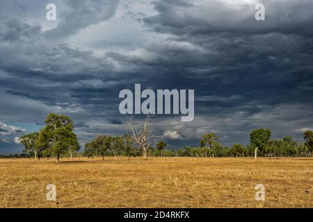 Vormonsoonale bedrohliche schwarze Wolken sammelten sich über einem Feld, Manbullo Homestead in der Nähe von Katherine, Northern Territory, NT, Australien Stockfoto