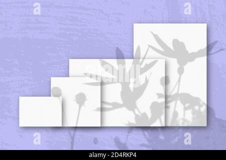Mehrere horizontale und vertikale Blätter aus weißem strukturiertem Papier vor einem rosa Wandhintergrund. Mockup mit einer Überlagerung von Pflanzenschatten. Tageslicht Stockfoto