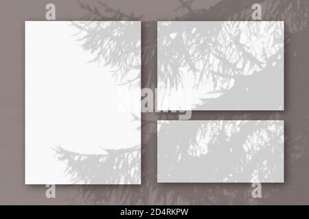 Mehrere horizontale und vertikale Blätter aus weißem strukturiertem Papier vor einem rosa Wandhintergrund. Mockup mit einer Überlagerung von Pflanzenschatten. Tageslicht Stockfoto