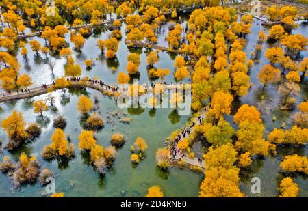 Jiuquan, Jiuquan, China. Oktober 2020. GansuÃ¯Â¼Å'CHINA-Touristen schauen sich die Landschaft der Euphratpappel im Bezirk jinta, Jiuquan Stadt, Nordwestchinas Gansu Provinz, 7. Oktober 2020 an. Es war der siebte Tag des Nationalfeiertags, Und mehr als 10,000 Touristen aus Peking, Shanghai, guangdong, fujian und anderen Provinzen und Städten genossen das wunderschöne Bild von ''klarem Himmel, gelben Blättern, Herbstwellen, kaltem Rauch und Smaragdgrün''' in der Wüste Euphrat Pappelwald malerischen Ort in jinta County, jiuquan, gansu. Quelle: SIPA Asia/ZUMA Wire/Alamy Live News Stockfoto