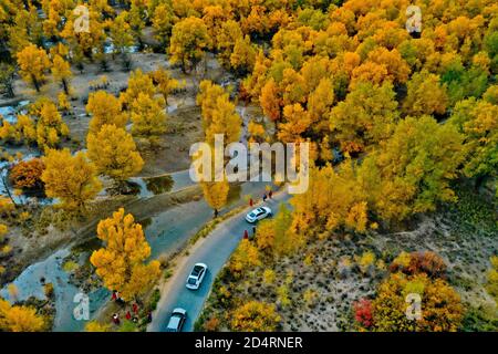 Jiuquan, Jiuquan, China. Oktober 2020. GansuÃ¯Â¼Å'CHINA-Touristen schauen sich die Landschaft der Euphratpappel im Bezirk jinta, Jiuquan Stadt, Nordwestchinas Gansu Provinz, 7. Oktober 2020 an. Es war der siebte Tag des Nationalfeiertags, Und mehr als 10,000 Touristen aus Peking, Shanghai, guangdong, fujian und anderen Provinzen und Städten genossen das wunderschöne Bild von ''klarem Himmel, gelben Blättern, Herbstwellen, kaltem Rauch und Smaragdgrün''' in der Wüste Euphrat Pappelwald malerischen Ort in jinta County, jiuquan, gansu. Quelle: SIPA Asia/ZUMA Wire/Alamy Live News Stockfoto