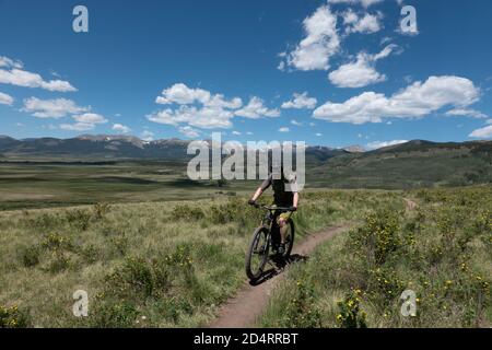 Mountainbiken auf dem langen Colorado Trail in der Nähe von Georgia Pass, Colorado Stockfoto