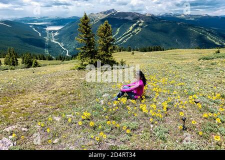 Umgeben von Gänseblümchen auf Kokomo Pass, Colorado Trail, Breckenridge, Colorado Stockfoto