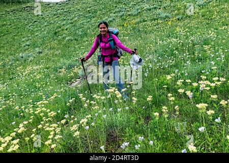 Umgeben von Wildblumen auf Kokomo Pass, Colorado Trail, Breckenridge, Colorado Stockfoto