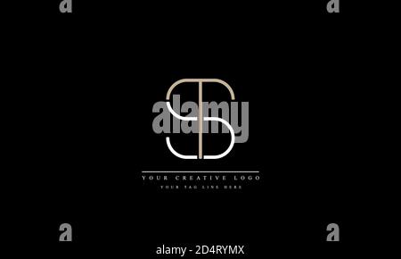 VORLAGE FÜR DAS ST ST-ST-Vektorlogo mit abstraktem Vektor-Monogramm Stockfoto