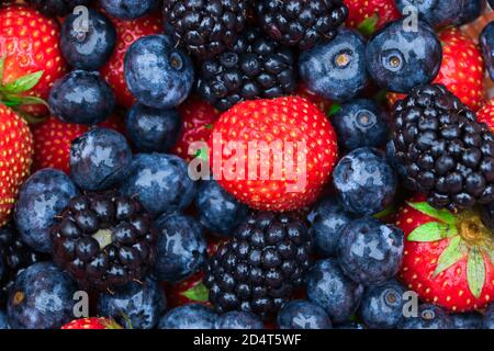 Frische Beeren voller Rahmen Frucht Hintergrund Textur mit Nahaufnahme von reifen und saftigen Erdbeeren, Heidelbeeren und Brombeeren Stockfoto