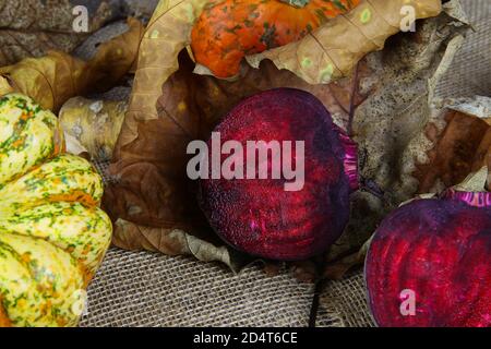 Nahaufnahme des Herbstwurzelgemüses für eine gesunde Ernährung in der kalten Jahreszeit mit Kürbissen, roten Rote Beete Hälften und Laubblättern Stockfoto