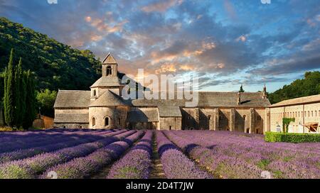 Die romanische Zisterzienserabtei Notre Dame von Senanque (1148) aus dem 12. Jahrhundert, inmitten der blühenden Lavendelfelder der Provence in der Nähe von Gordes, Fra Stockfoto