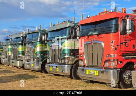 Eine Reihe von bunten Kenworth Lastwagen auf einer LKW-Show. Mount Maunganui, Neuseeland, Januar 18 2020 Stockfoto