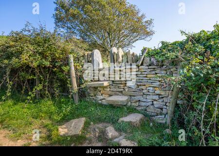 Typischer öffentlicher Wanderweg in einer Trockenmauer am South-West Coast Path an der Jurassic Coast bei Abbotsbury, Dorset, Südwestengland Stockfoto