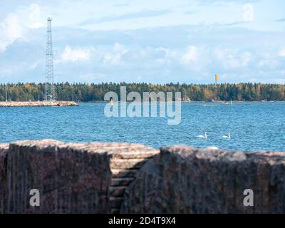 Helsinki/Finnland - 10. OKTOBER 2020: Zwei Singschwäne schwimmen an einem sonnigen Sommertag im Meer. Stockfoto