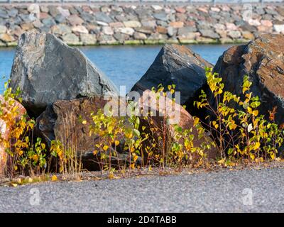 Helsinki/Finnland - 10. OKTOBER 2020: Große Granitblöcke direkt am Wasser. Stockfoto