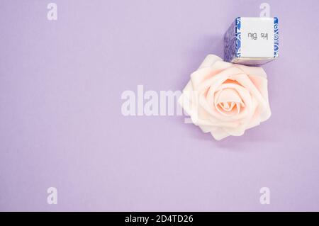 Draufsicht auf eine Iris blu ätherisches Öl neben Eine schöne rosa Rose auf einer violetten Oberfläche Stockfoto