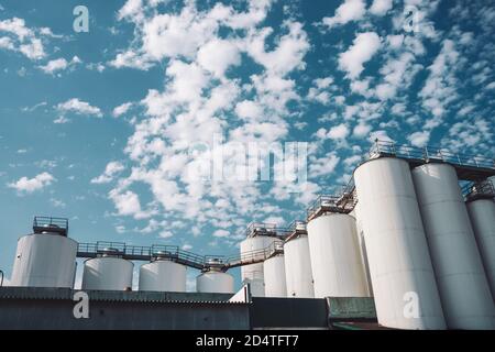 Landwirtschaftliche Silos. Lagerung und Trocknung von Getreide, Weizen, Mais, Soja, Sonnenblumen. Industriegebäude im Außenbereich. Große silberne Metallbehälter aus nächster Nähe. Stockfoto