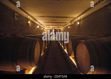 Cliff Richards Weingut Adega do Cantor in Guia, Algarve, Portugal Stockfoto