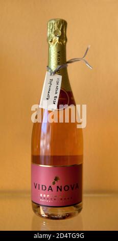 Cliff Richards Weingut Adega do Cantor in Guia, Algarve, Portugal: Vida Nova Rose Stockfoto