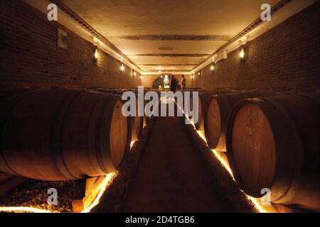 Cliff Richards Weingut Adega do Cantor in Guia, Algarve, Portugal Stockfoto