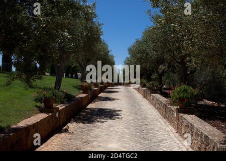 Cliff Richards Weingut Adega do Cantor in Guia, Algarve, Portugal Stockfoto