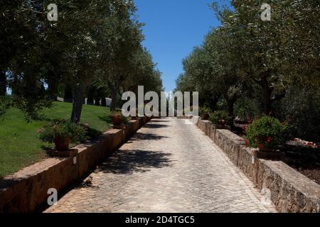 Cliff Richards Weingut Adega do Cantor in Guia, Algarve, Portugal Stockfoto