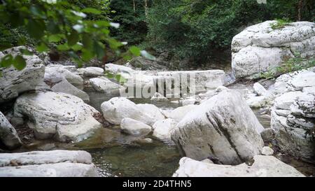 Fluss durch Steine in den Bergen. Gebirgsfluss, der durch den grünen Wald fließt Stockfoto
