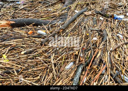 Cardiff, Wales - Oktober 2018: Gebrochene Äste, Stöcke, Plastikflaschen und andere Plastikabfälle, die nach dem Hochwasser in den Untiefen eines Flusses schwimmen Stockfoto