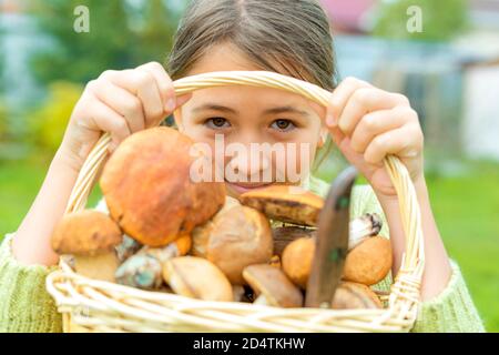 Verschiedene rohe Pilze in einem Weidenkorb Hexe kaukasischen Mädchen halten in ihren Händen. Sie schaut unter dem Korbgriff heraus.das Messer ist im Korb. Steinpilze, Birkenpilze, Steinpilze. Konzentrieren Sie sich auf Mädchen Gesicht. Selektiver Fokus. Stockfoto