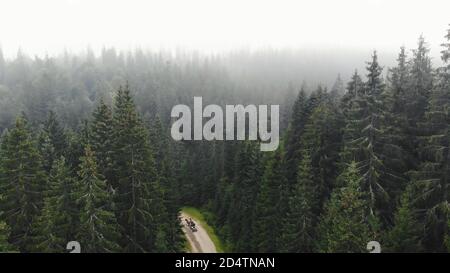 Luftaufnahme des Pferdewagens. Stockfoto