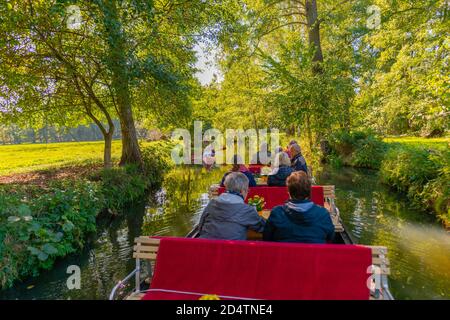 UNESCO-Biosphärenreservat Spreewald oder Spreewald, eine Bootstour ab Burg Gemeinde, Brandenburg, Ostdeutschland, Europa Stockfoto