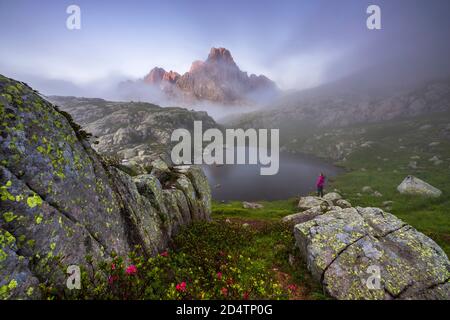 Frau beobachtet Cimon della Pala von Cavallazza im Nebel bei Sonnenuntergang, Parco Naturale Paneveggio Pale di San Martino, Lagorai Kette, Trient, Trentino A Stockfoto