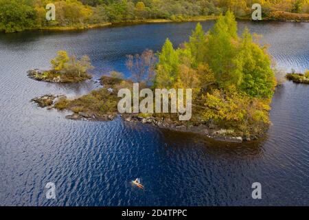 Aberfoyle, Schottland, Großbritannien. 10. Oktober 2020. MEG Spittal ,,ein wilder Schwimmer mit der Fife Wild Swimming Gruppe genießt ein erfrischendes herbstliches Schwimmen rund um eine kleine baumbedeckte Insel in der Mitte von Loch Chon in Loch Lomond und Trossachs National Park. Iain Masterton/Alamy Live News Stockfoto