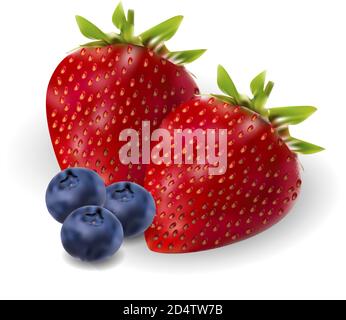 Erdbeere und Brombeere Beeren realistische Set. 3d Vektor Beeren Illustration. Frische Früchte isoliert auf weißem Hintergrund. Stock Vektor
