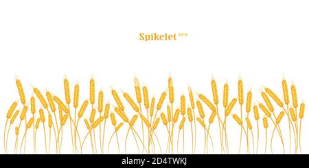 Eine Reihe von Dornen aus goldenem Weizen, Roggen, Gerste auf einem weißen Hintergrund in verschiedenen Formen. Stock Vektor