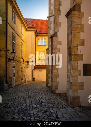 Leere Kopfsteinpflasterstraße in der Altstadt von Prag Stockfoto