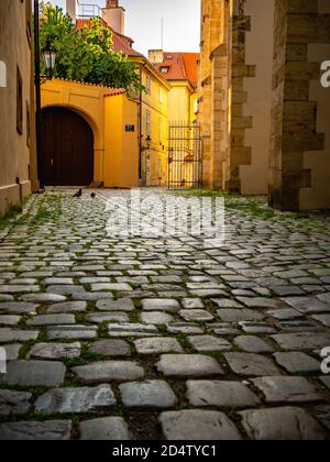 Leere Kopfsteinpflasterstraße in der Altstadt von Prag Stockfoto