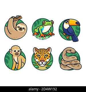 Niedliche Cartoon Regenwald Tiere Set. Faultier, Baumfrosch, toco Tukan, Spinnenaffe, jaguar und Boa Constrictor. Dschungel Wildtiere Vektor Illustrationen. Stock Vektor