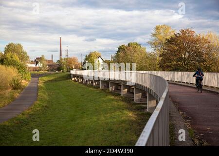 Einlaufkonstruktion für das Rückhaltegebiet zwischen Köln-Langel und Niederkassel-Lielsdorf, Nordrhein-Westfalen, Deutschland. Während Überschwemmungen des RHI Stockfoto