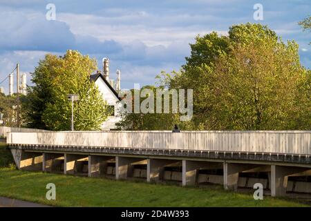 Einlaufkonstruktion für das Rückhaltegebiet zwischen Köln-Langel und Niederkassel-Lielsdorf, Nordrhein-Westfalen, Deutschland. Während Überschwemmungen des RHI Stockfoto